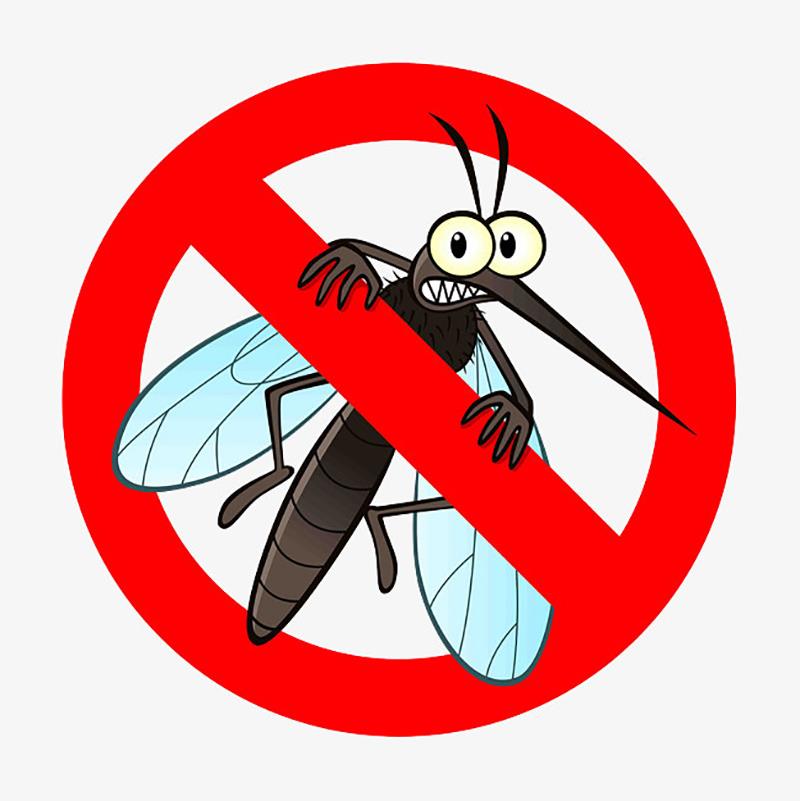 Quels sont les différents types de moustiques?